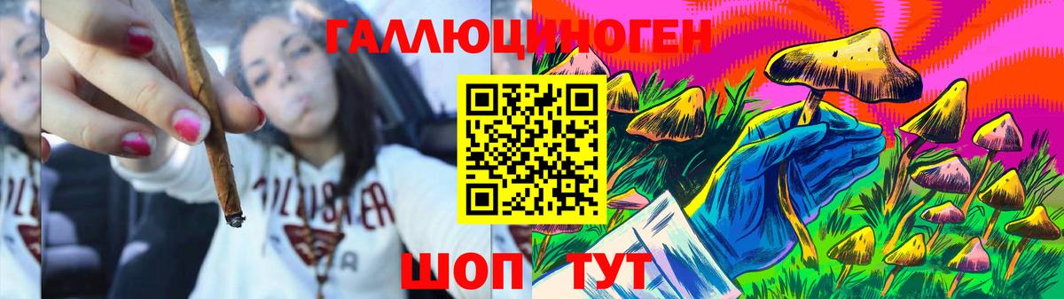 где купить наркоту  Галлюциногенные грибы Psilocybe  Вологда  Вход с VPN  Псилоцибиновые грибы ЛСД 